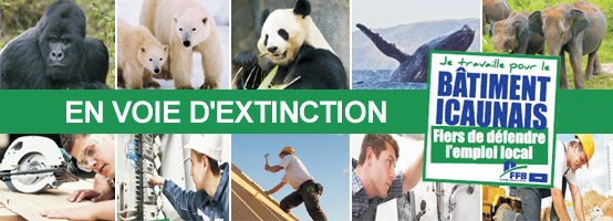 campagne-pub-en-voie-d-extinction-ffb-batiment-yonne-89